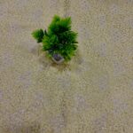 Banarasi Brocade Fabric - Jersey Yellow