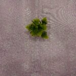 Banarasi Brocade Fabric - Dusty Lavender