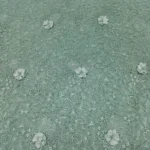 Floral Embroidery Net Fabric - Fresh Sage Green - Image 4
