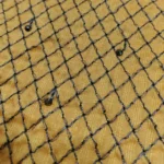 Dupion Fabric - Yellow - Image 3