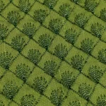 Zari Work Raw Silk Fabric - Avocado Green - Image 3
