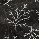 Organza with Silver Zari Embroidery - Black - Image 3