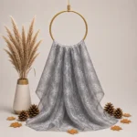 Organza with Silver Zari Embroidery -Grey