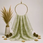 Organza with Silver Zari Embroidery – Pastel Green
