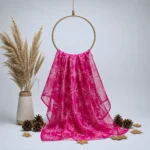 Organza with Silver Zari Embroidery – Rani Pink
